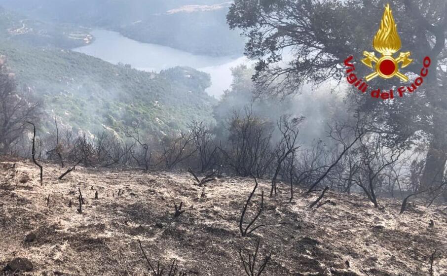 (foto vigili del fuoco)