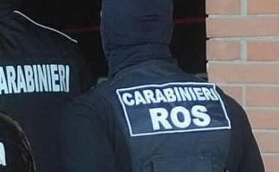 immagine simbolo (ansa)