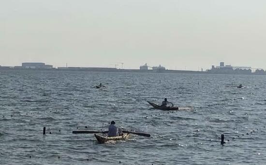 Santa Giusta, le immagini della regata dei fassoni - L'Unione Sarda.it - L'Unione Sarda