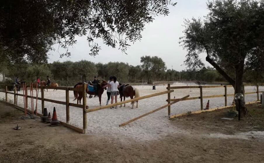 il circolo ippico (foto l unione sarda pala)