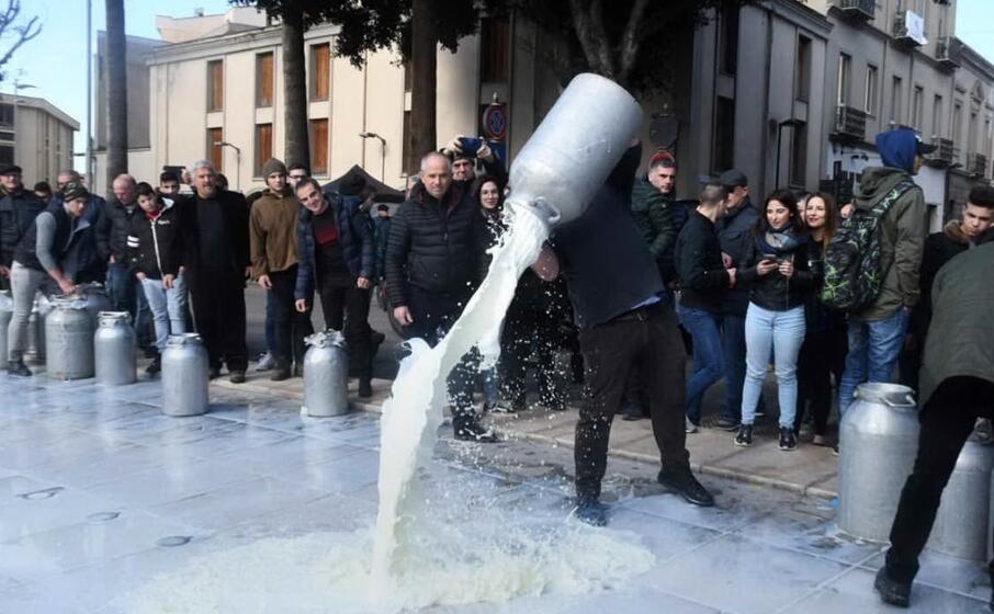 latte versato dai pastori durante la protesta di febbraio (ansa)