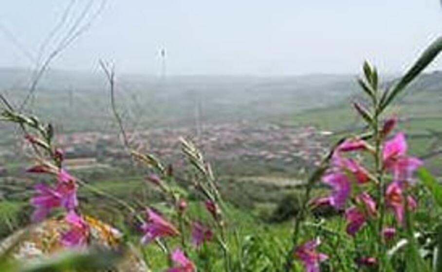 villaurbana (foto l unione sarda pala)