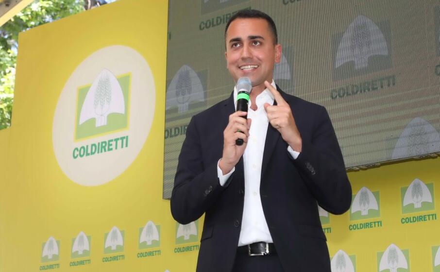 il vicepremier luigi di maio (ansa)