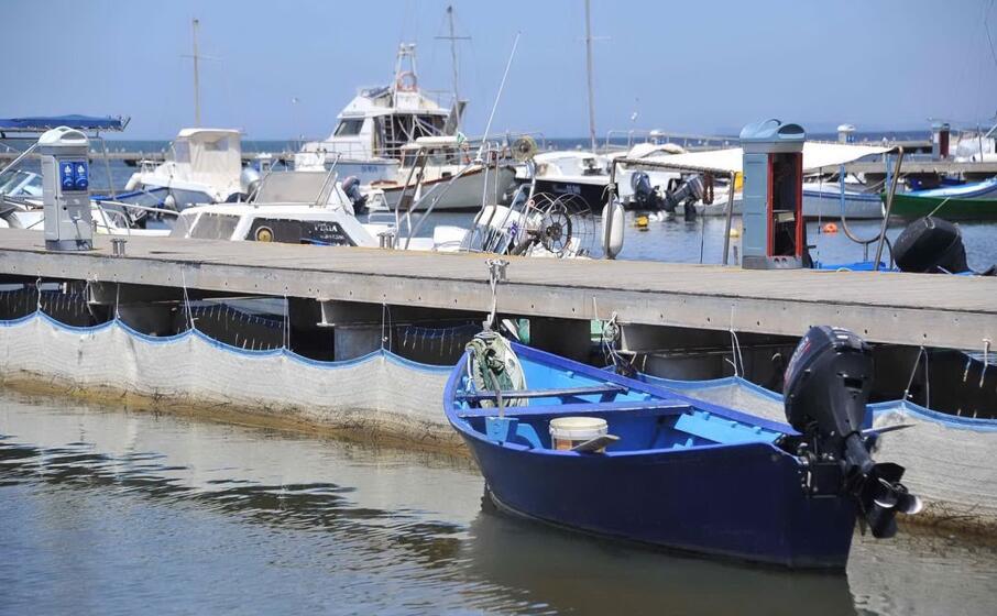 i banner di lana al porticciolo (l unione sarda pinna)