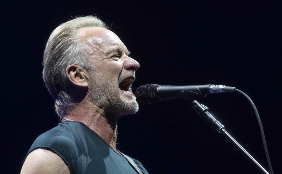 sting (ansa)