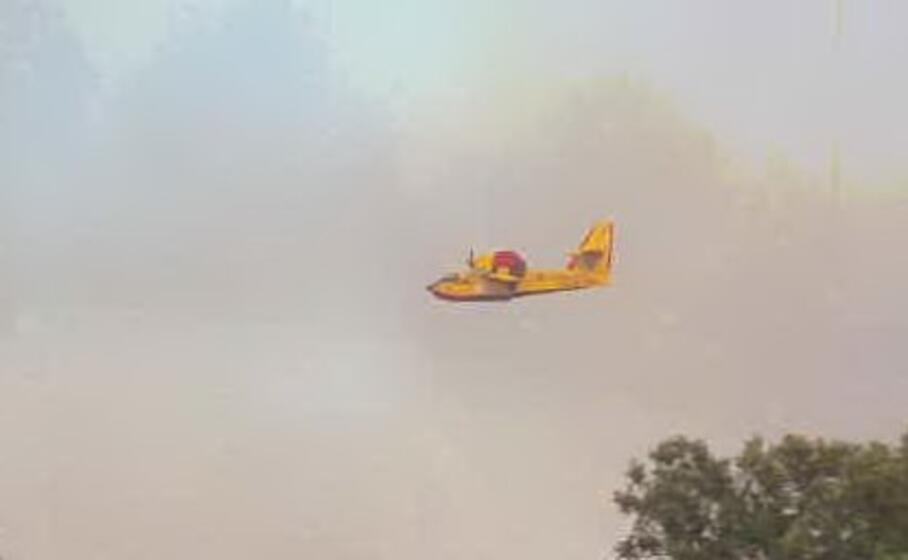 il canadair in azione a san leonardo (foto l unione sarda sanna)