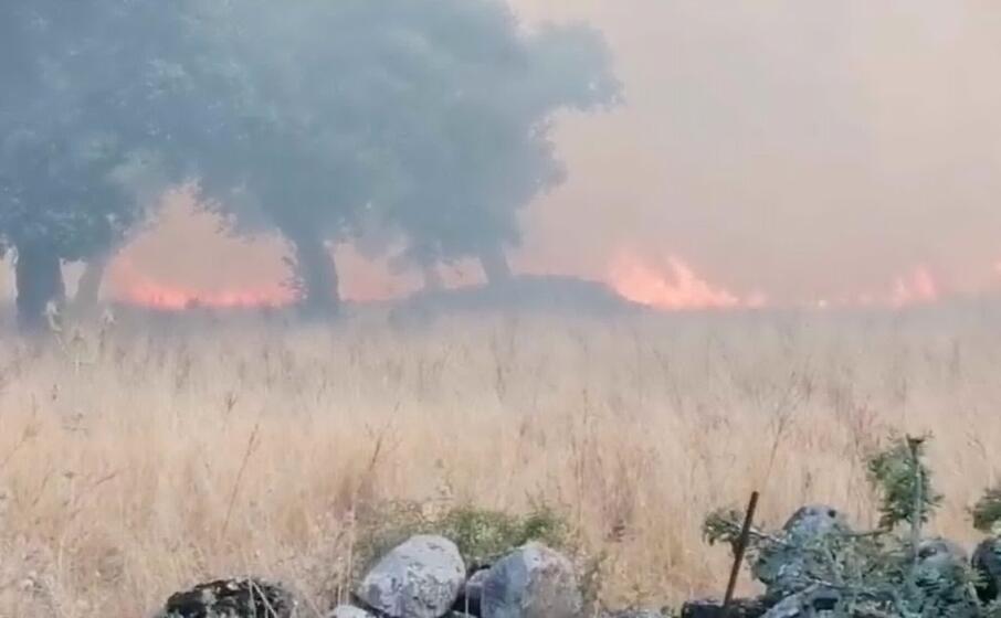 il fronte dell incendio (foto l unione sarda sanna)