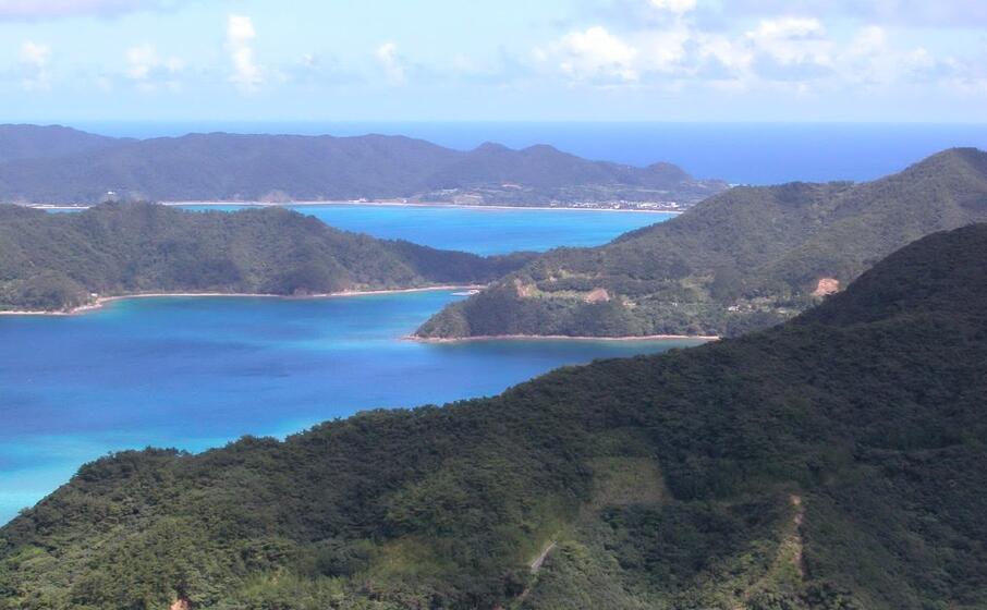 le isole amami (wikipedia)