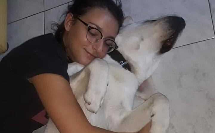 alice e jack