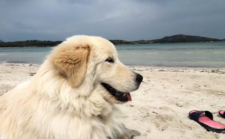 belle in sardegna inviata da simona malagoli (modena)
