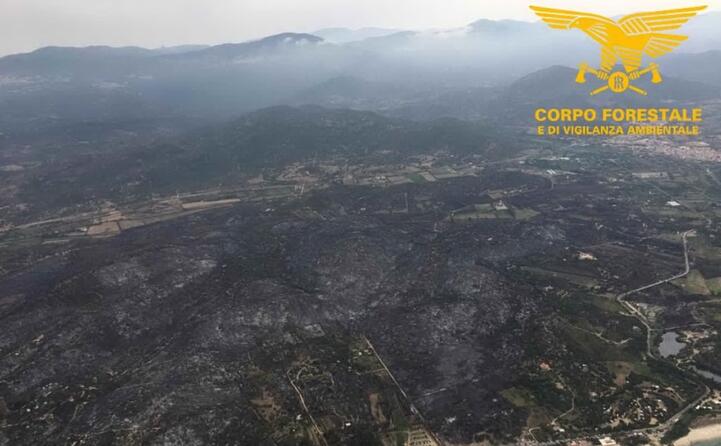 dall alto (foto corpo forestale)