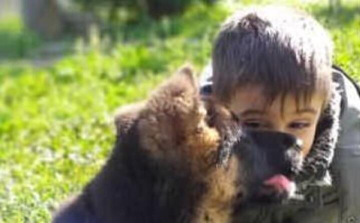 diego e il suo fratellino peloso thor seulo