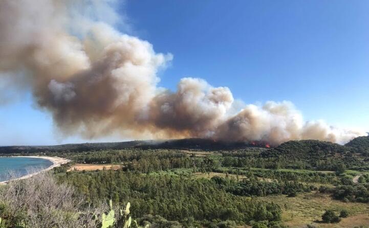 fiamme nella zona di cea a tortol (foto andrea piras)