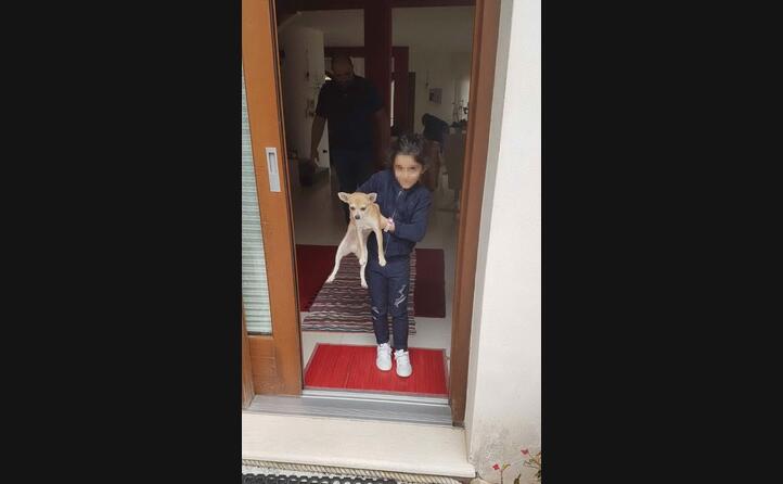 giorgia con zak nuoro