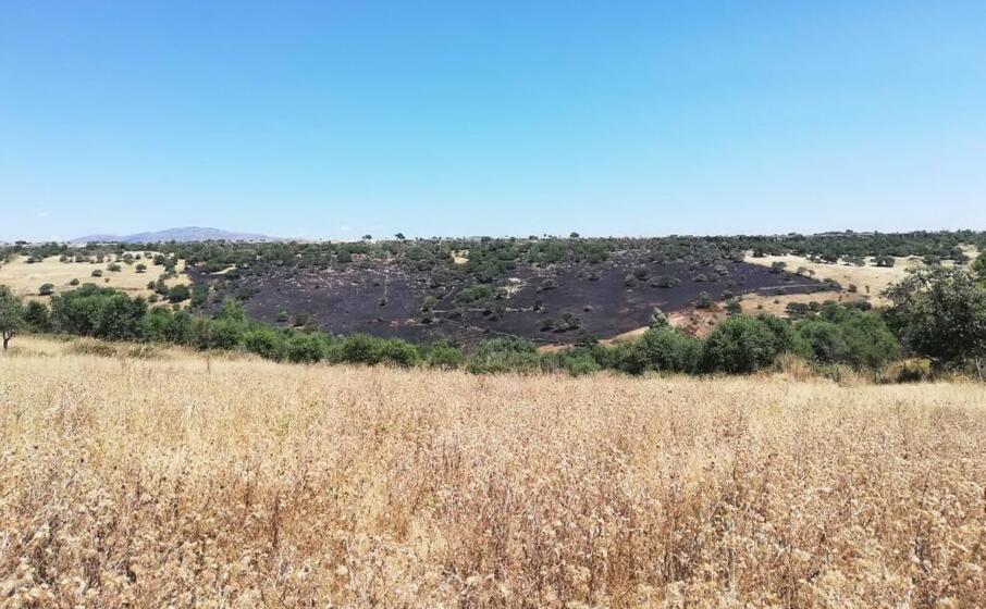 la zona colpita dall incendio a nurri (l unione sarda pintori)