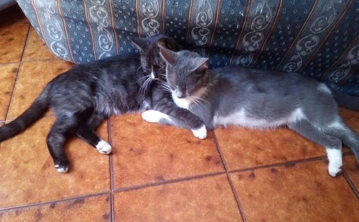 marascia e sissi seneghe (foto di sara pippia)