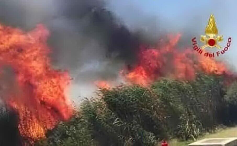 un immagine dell ultimo incendio scoppiato nel parco (foto vigili del fuoco)
