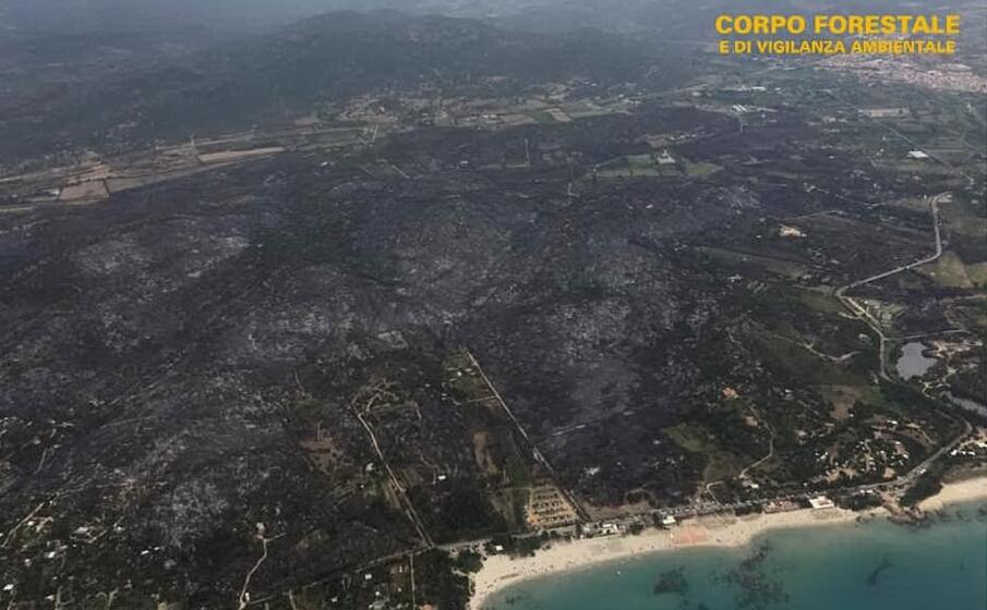 devastazione in ogliastra dopo i roghi di questi giorni (foto corpo forestale)