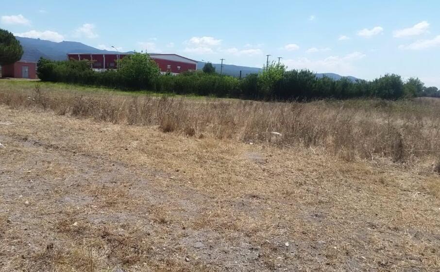 il campo dove stata fatta la macabra scoperta (l unione sarda pintori)