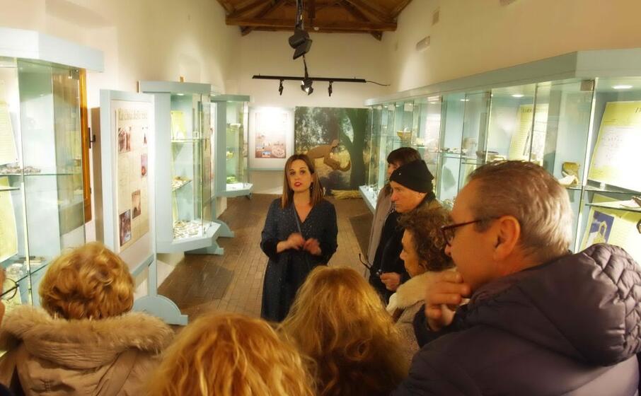 visita guidata al museo di senorb (foto severino sirigu)