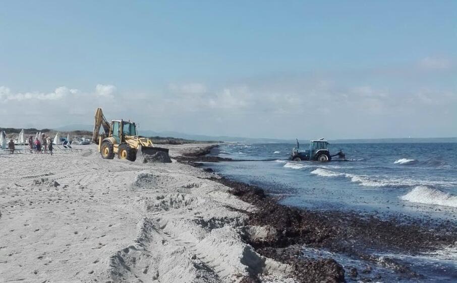 le ruspe (foto l unione sarda pinna)
