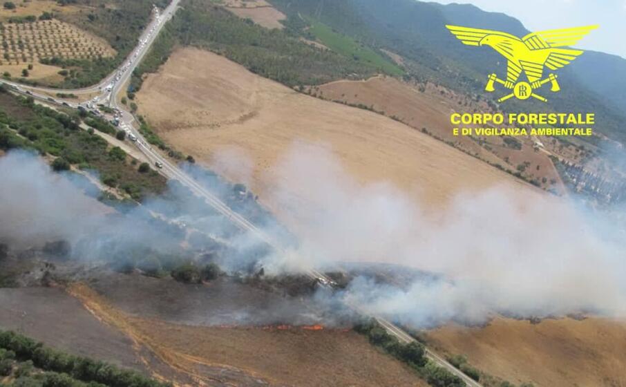 l incendio lungo la 195 (foto corpo forestale)
