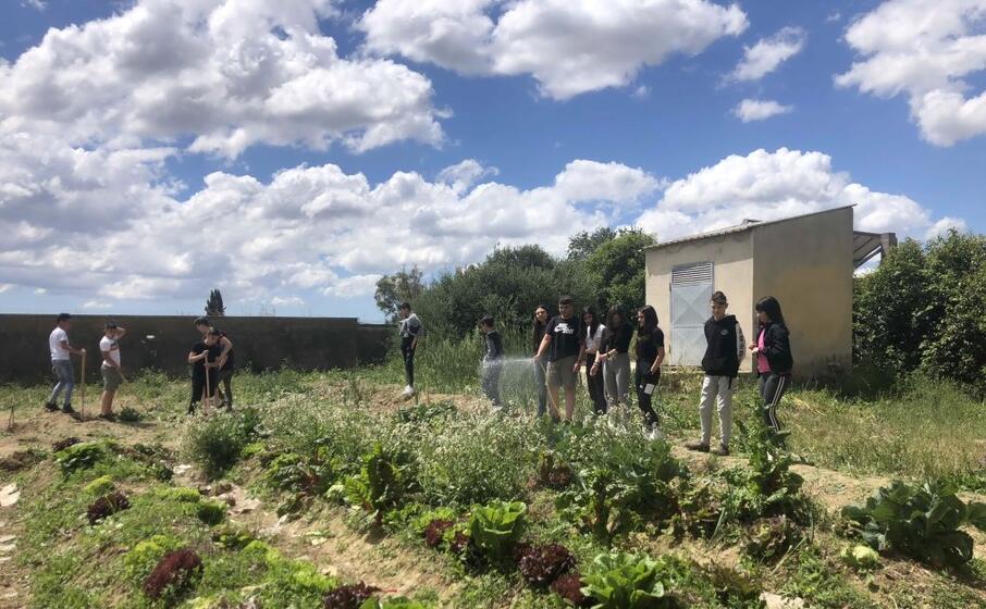 l orto dei ragazzi (foto severino sirigu)