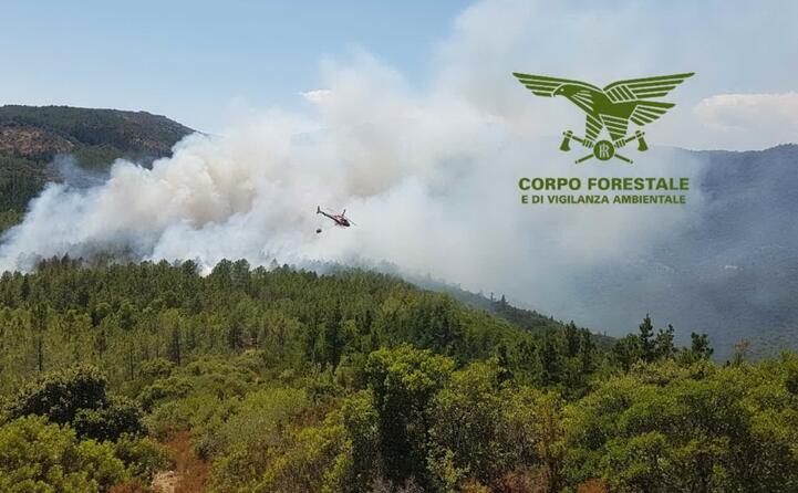 il rogo stato domato (foto corpo forestale)