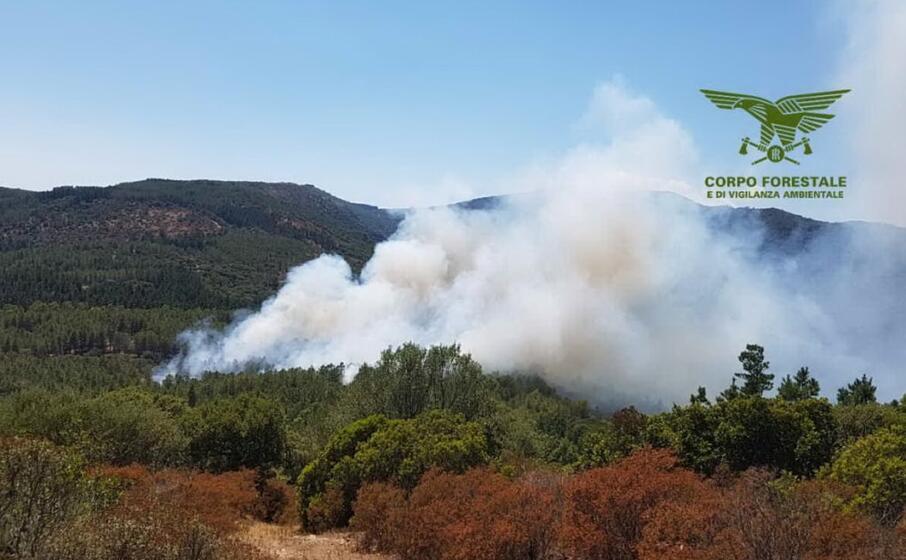 l incendio a vallermosa