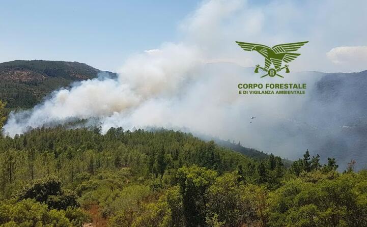 per domare le fiamme sono stati necessari due elicotteri leggeri e uno pesante