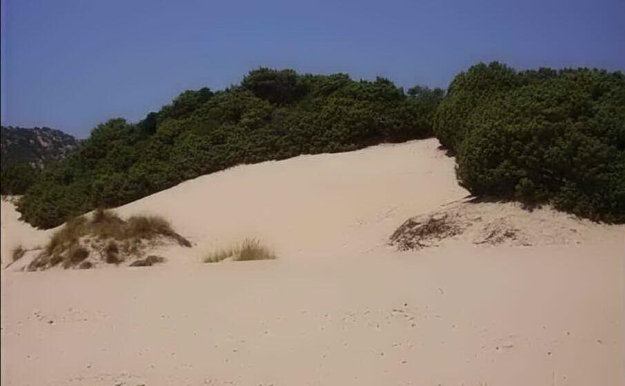 le dune di chia (archivio l unione sarda)