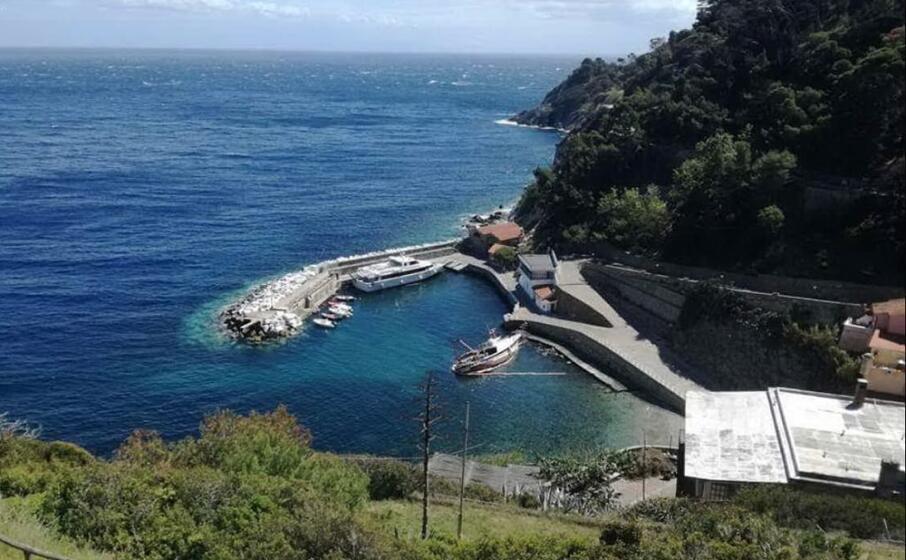 l isola di gorgona (foto google maps)