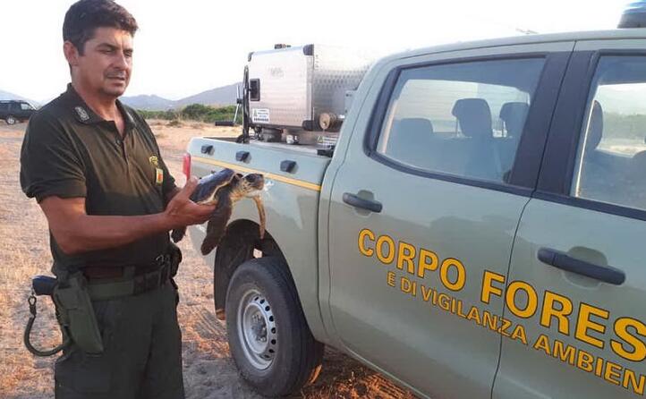 gabriele lo ha segnalato ai genitori che poi hanno provveduto a chiamare il corpo forestale