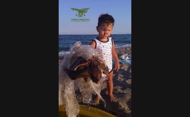 il bimbo di 5 anni ha avvistato l esemplare dalla spiaggia
