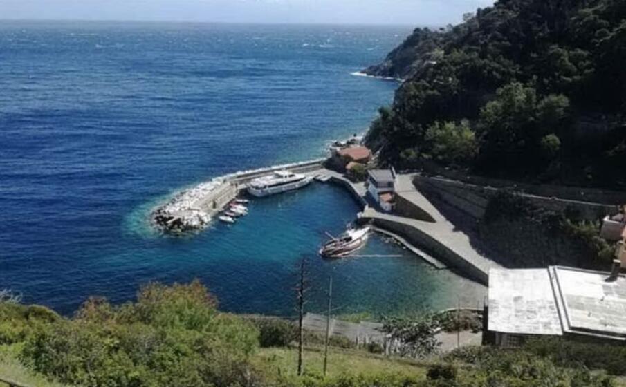 l isola di gorgona (foto google maps)