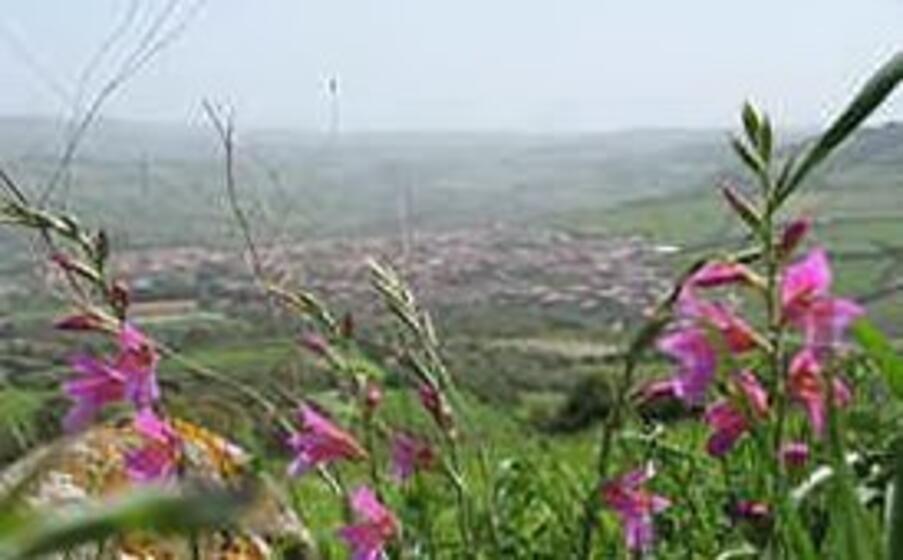 panorama su villaurbana (foto giacomo pala)