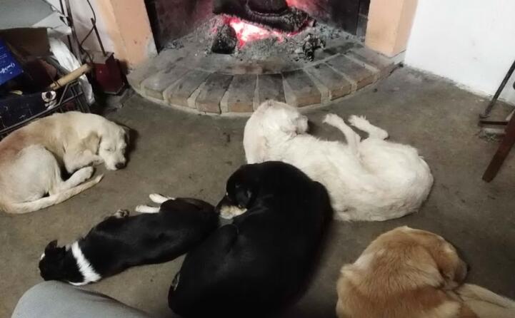 la famiglia riunita davanti al focolare sara luigino mario gavino e renato (foto inviata da toto da siliqua)