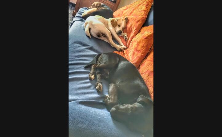 la foto inviata da anna rita sirigu selegas