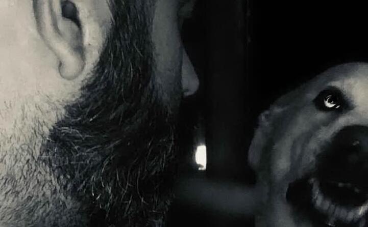 stefano fais quartu e atharu un labrador che si sente un po pitbull