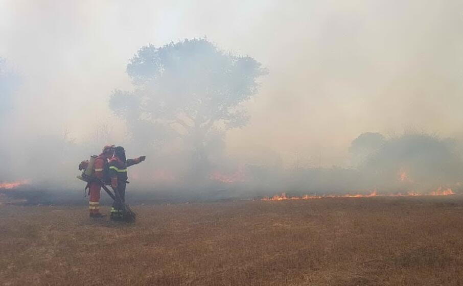 le fiamme (foto corpo forestale)