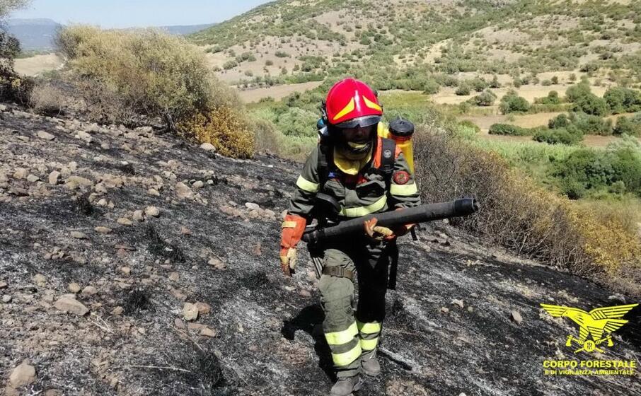 le operazioni di spegnimento del fuoco (foto corpo forestale)