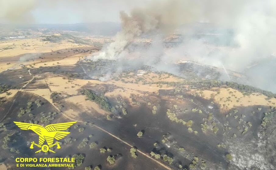 l incendio di bitti (foto corpo forestale)