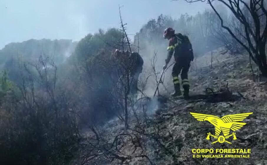 l estinzione di un incendio (foto corpo forestale)