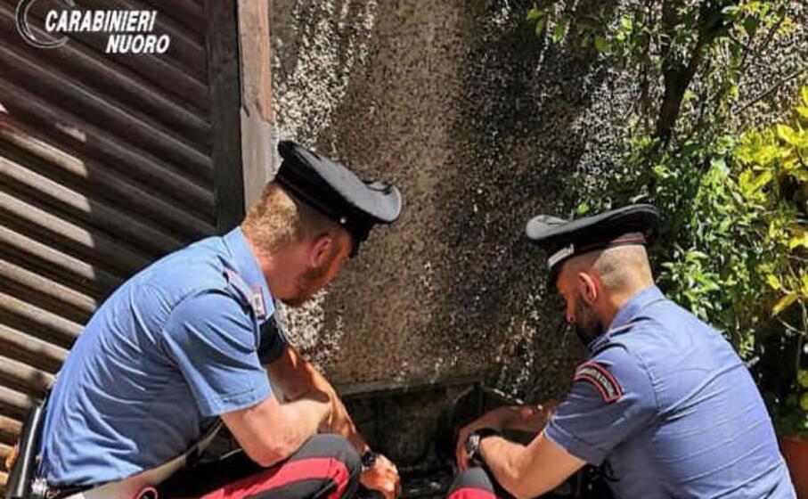 (foto carabinieri)