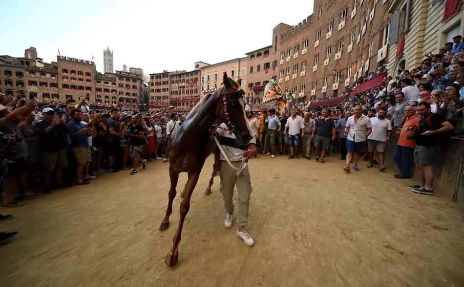 remorex vincitore del palio 2019 (ansa)