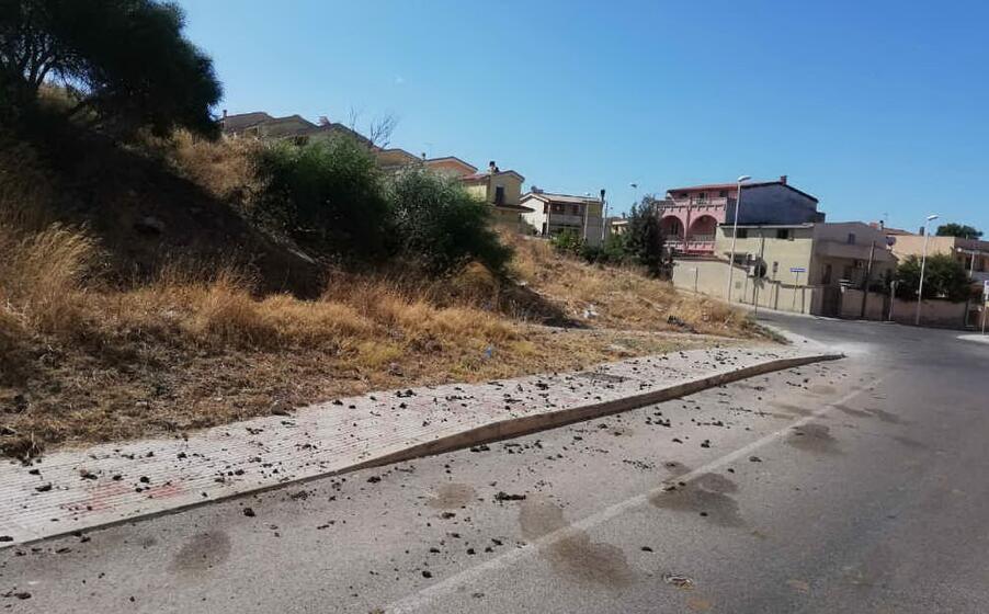 un immagine inviata dalla lettrice