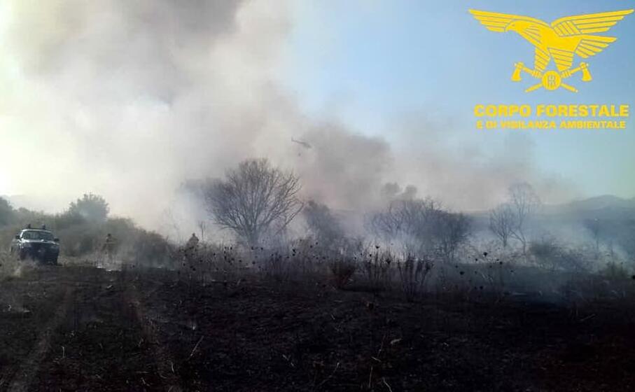 lo scenario dopo uno degli incendi domati oggi (corpo forestale)
