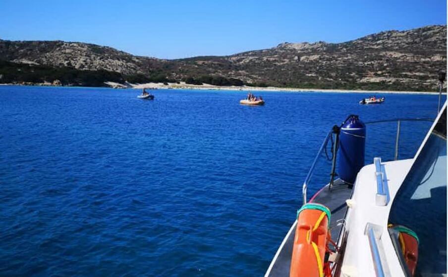 i gommoni dell asinara (foto mariangela pala)