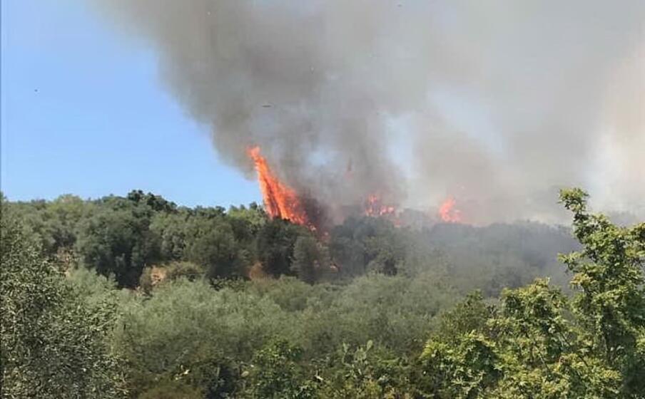 l incendio (foto l unione sarda sanna)