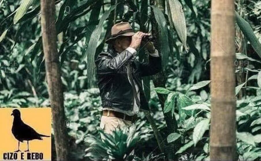 quando tutti stanno seguendo la caduta del governo italiano ma tu te ne freghi perch sei in baronia cercando il coccodrillo